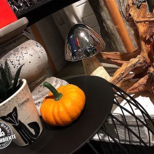 Wohnambiente Raumgestaltung | Referenzen