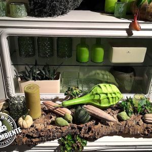 Wohnambiente Raumgestaltung | Referenzen