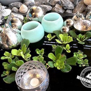 Wohnambiente Raumgestaltung | Referenzen